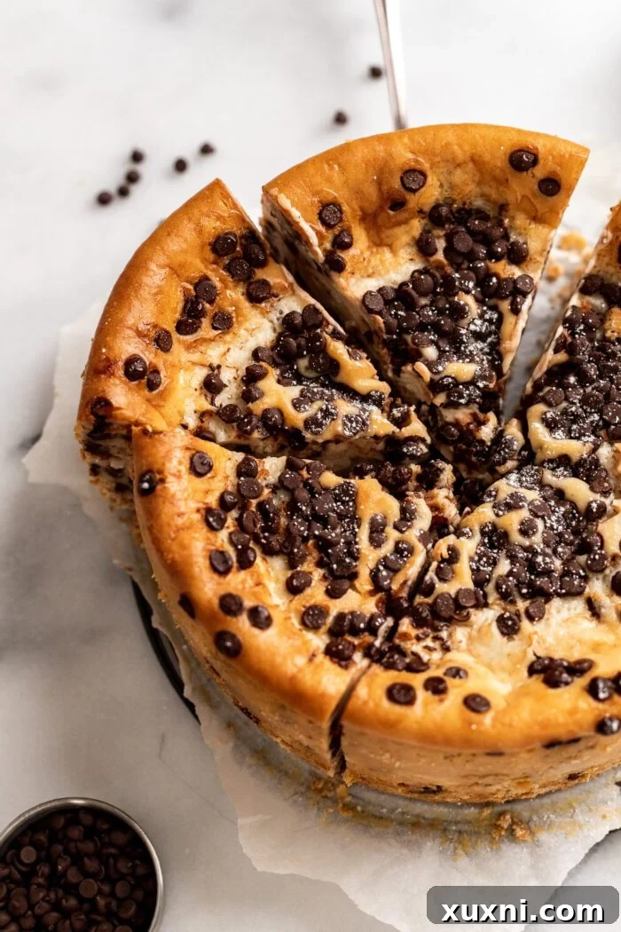 Luxurious Plant-Based Gluten-Free Cannoli Cheesecake 3 A close-up shot of a whole vegan cannoli cheesecake, glistening with a dusting of powdered sugar and studded with mini chocolate chips, ready to be sliced.