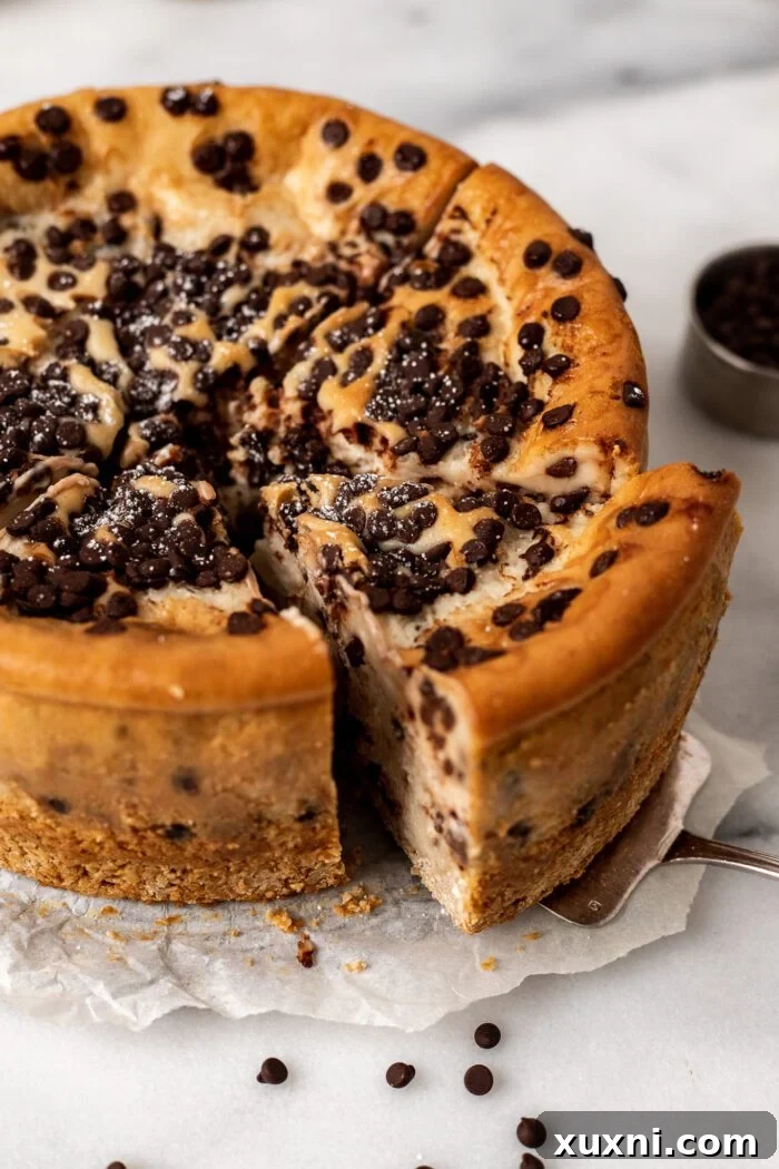 Luxurious Plant-Based Gluten-Free Cannoli Cheesecake 4 A slice of vegan cannoli cheesecake, showing its rich, thick filling, chocolate chips, and sturdy oat crust. The background is blurred, focusing on the dessert.