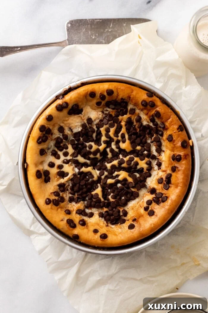 Luxurious Plant-Based Gluten-Free Cannoli Cheesecake 9 The baked cannoli cheesecake, golden brown on top, freshly removed from the oven and cooling.