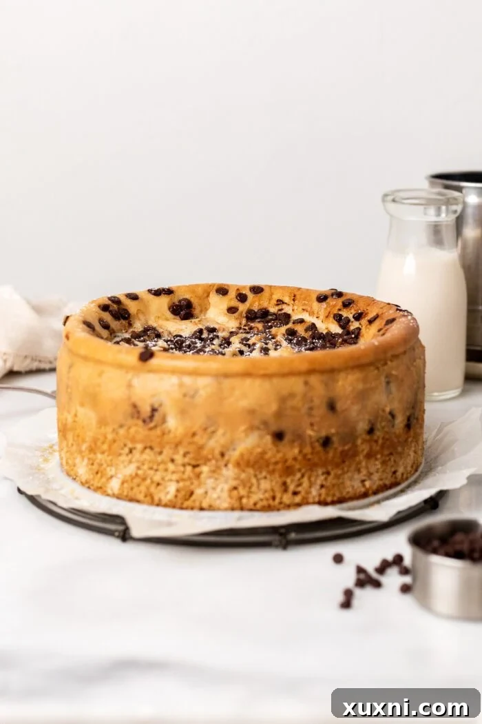Luxurious Plant-Based Gluten-Free Cannoli Cheesecake 10 The fully chilled and set vegan cannoli cheesecake, removed from the springform pan, showing its perfect shape and inviting appearance.