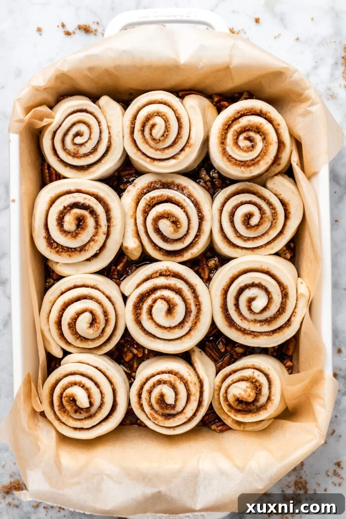 sticky buns before rising