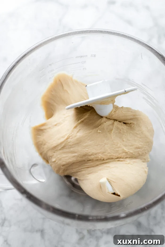 Dough in a stand mixer bowl