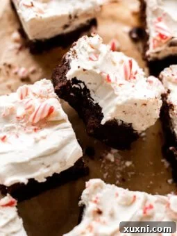 vegan peppermint brownie with bite taken from it