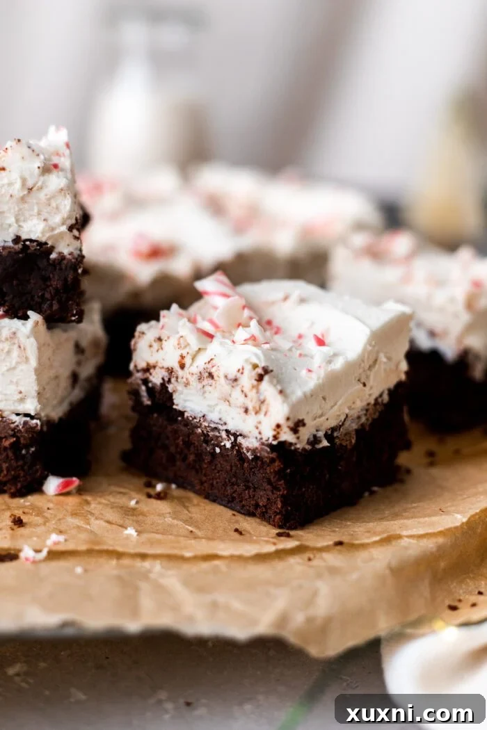 vegan peppermint brownies