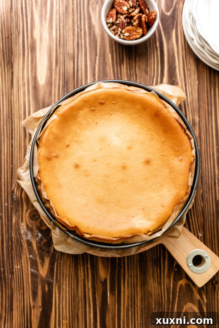 Ultimate Gooey Vegan Pecan Pie Cheesecake 13 A freshly baked vegan pecan pie cheesecake cooling in the oven.