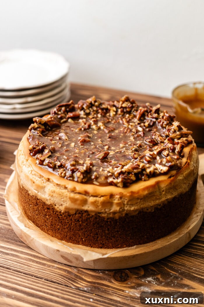 Ultimate Gooey Vegan Pecan Pie Cheesecake 14 A fully prepared vegan pecan pie cheesecake, topped with a generous layer of caramel pecans, ready to be sliced.