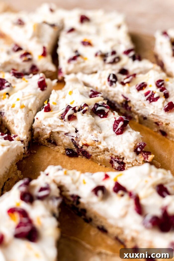 vegan cranberry bliss bars, perfectly frosted and decorated