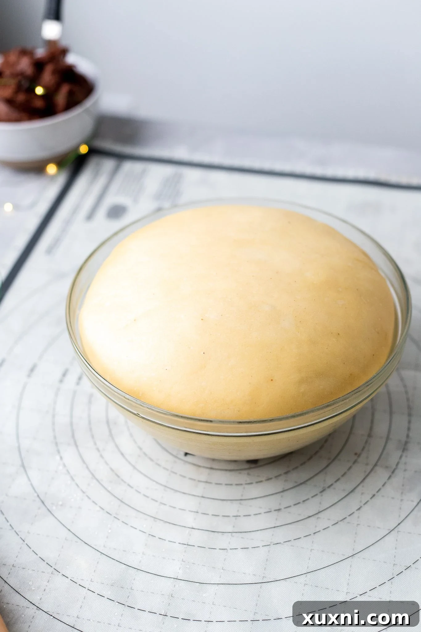 Risen babka dough in a bowl during the first proof