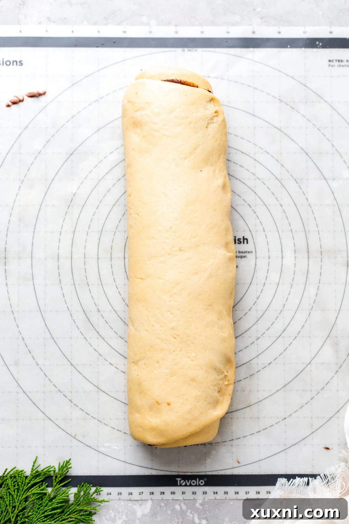 Tightly rolled babka dough cylinder, ready for slicing