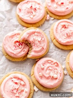 bitten vegan peppermint meltaway cookie