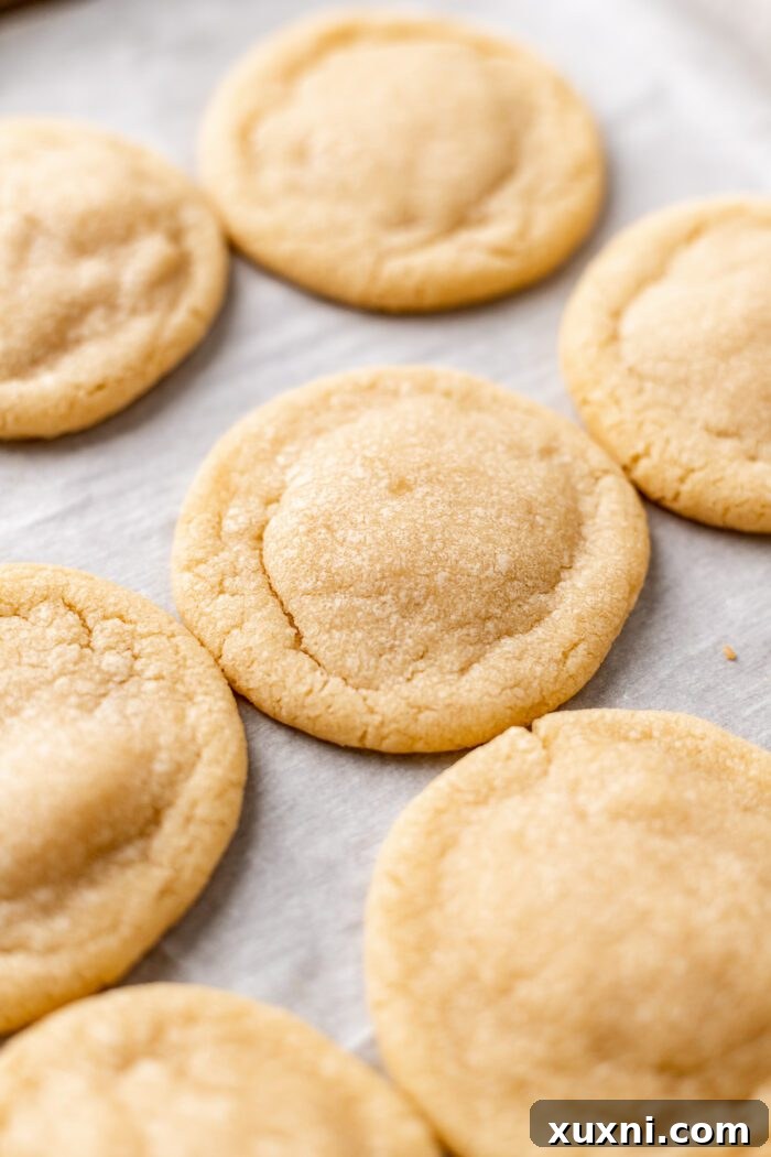 Tray of freshly baked peppermint meltaway cookies, golden at the edges and ready for cooling.