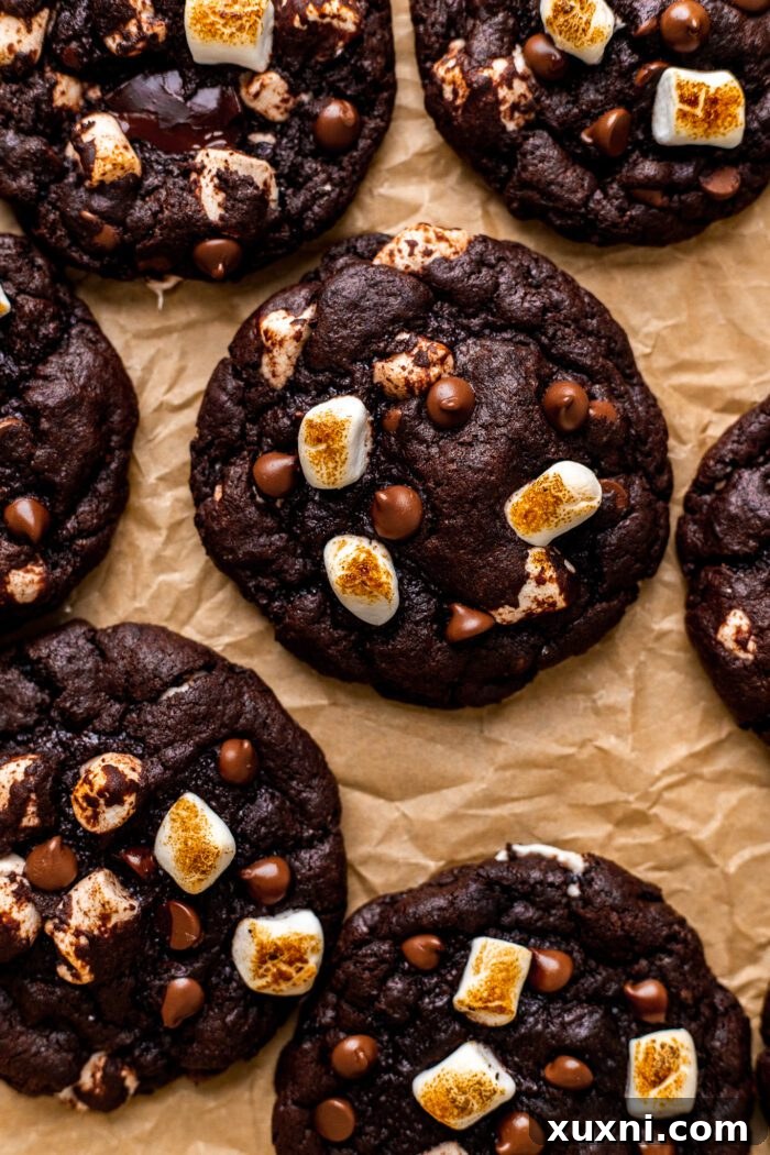 Decadent vegan hot chocolate cookies with melted chocolate and toasted marshmallows, perfect for a cozy treat.