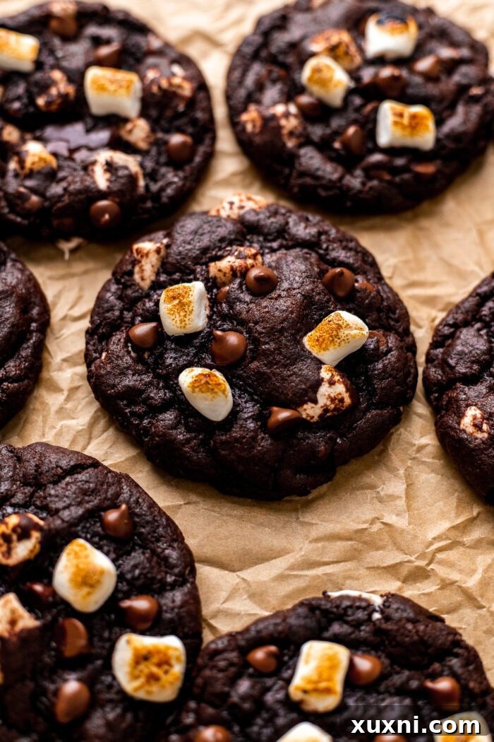 Close-up of toasted marshmallows on vegan hot chocolate cookies, showcasing their perfect golden-brown color.