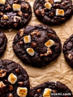 Fudgy vegan hot chocolate cookies with toasted marshmallows, perfect for a cozy dessert.