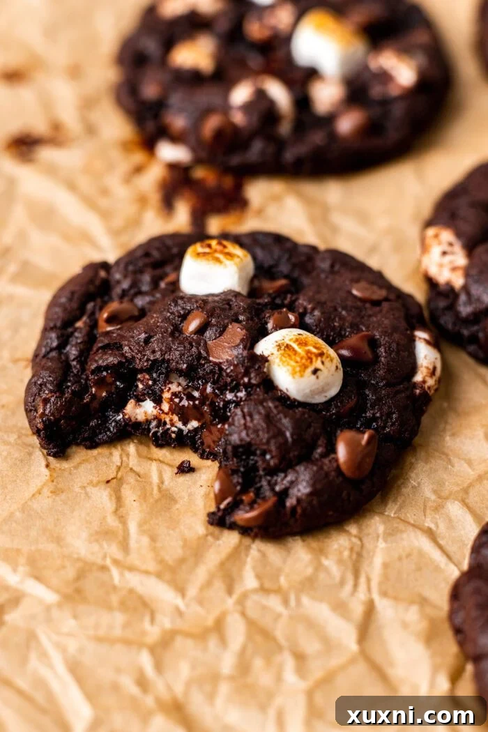 A half-eaten vegan hot chocolate cookie revealing its molten chocolate core and gooey marshmallow bits.