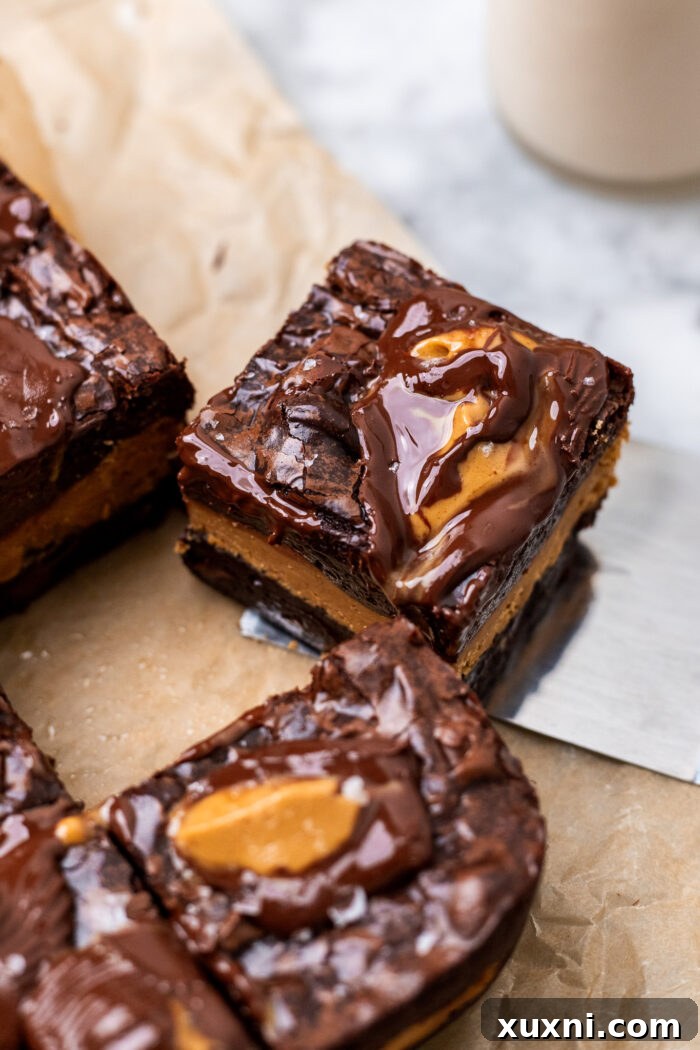 Small Batch Molten Vegan Peanut Butter Brownies with Toasted Caramel Flavor 2 sliced vegan peanut butter brownie