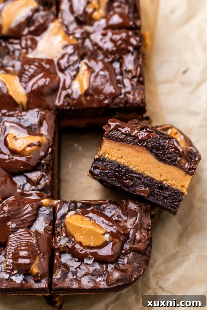 Small Batch Molten Vegan Peanut Butter Brownies with Toasted Caramel Flavor 3 sliced peanut butter brownies