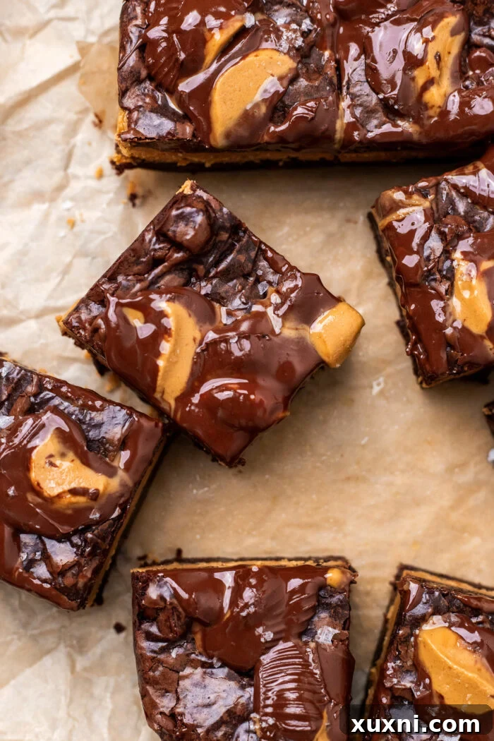 Small Batch Molten Vegan Peanut Butter Brownies with Toasted Caramel Flavor 10 sliced vegan peanut butter brownies