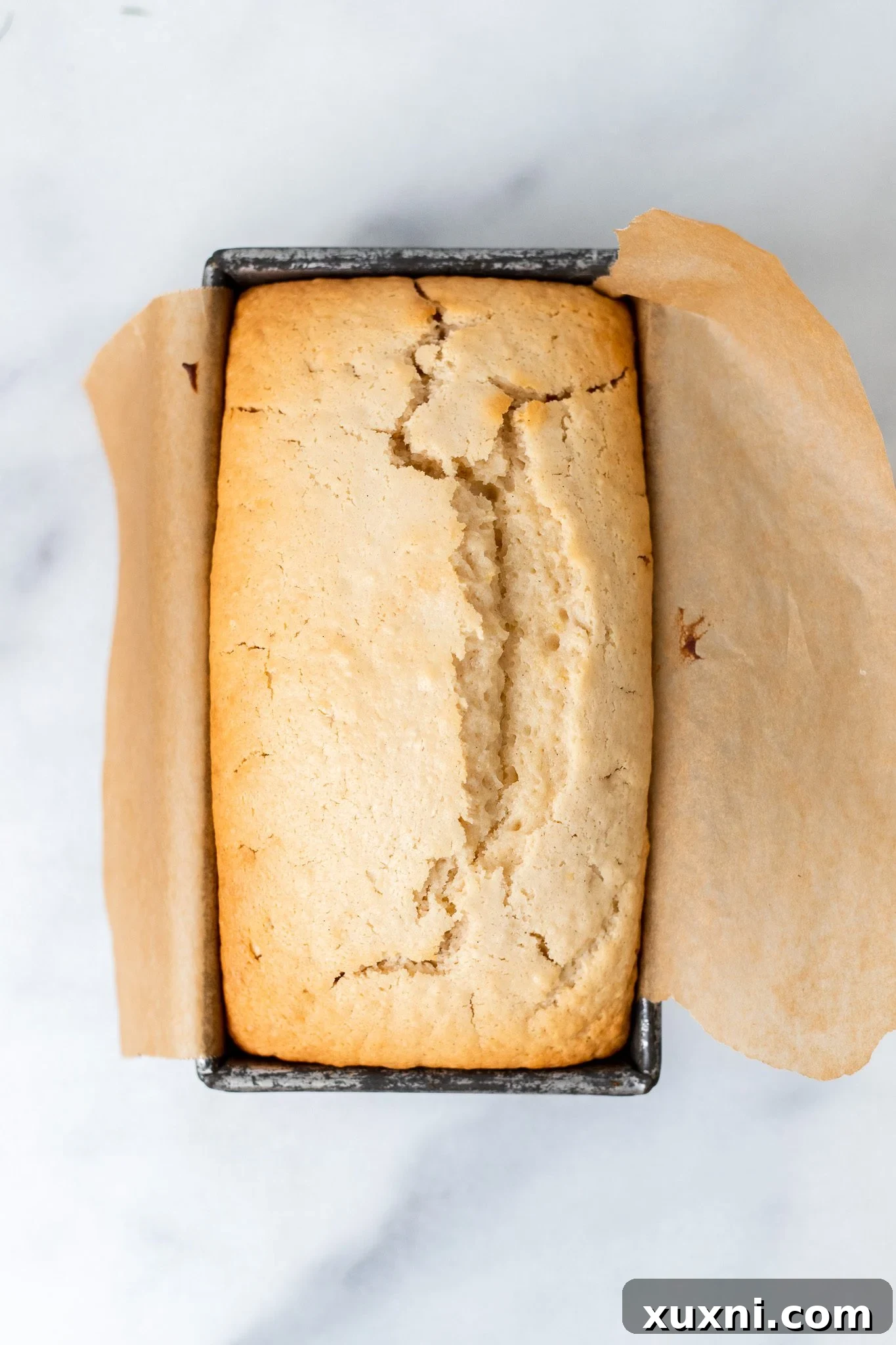 Beautifully golden-brown vegan lemon pound cake immediately after baking, still in the loaf pan.