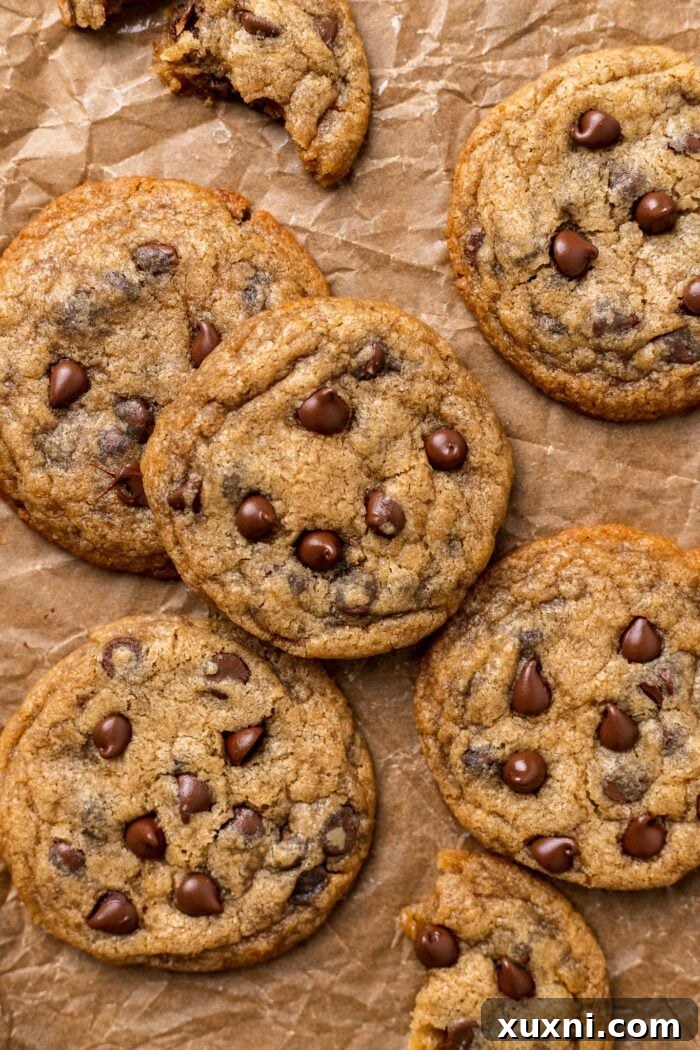 Delicious vegan small batch chocolate chip cookies arranged on parchment paper, highlighting their chewy texture and golden-brown edges.