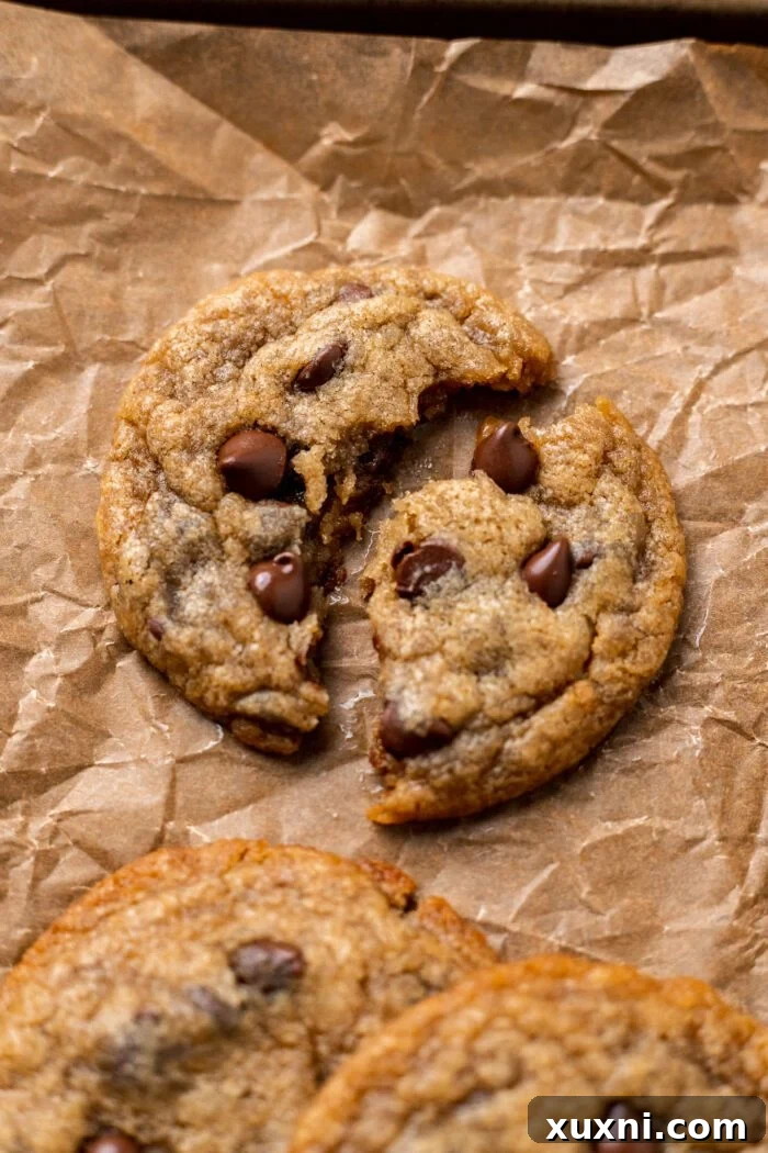 A perfectly baked chocolate chip cookie broken in half, showcasing its gooey chocolate interior and delicate crumb structure.