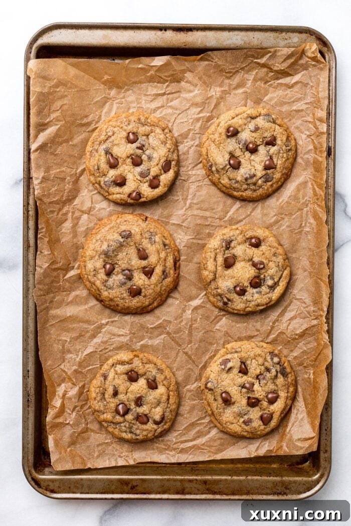 Freshly baked small batch chocolate chip cookies on parchment paper, displaying their golden edges and soft centers.