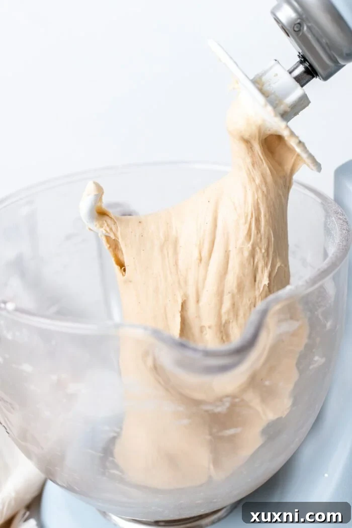Mixed dough in a stand mixer, forming a shaggy ball