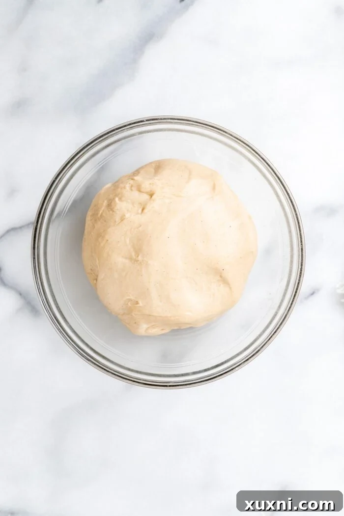 Smooth dough ball in a greased bowl, covered for rising