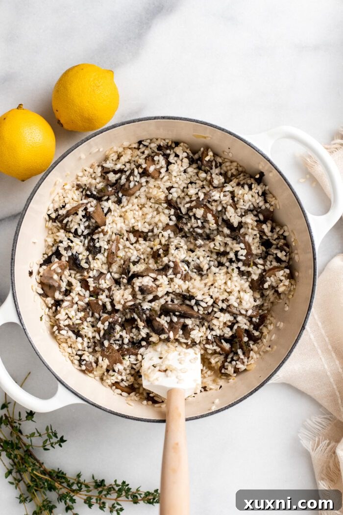 Arborio rice being toasted in a pan with sautéed mushrooms and herbs.