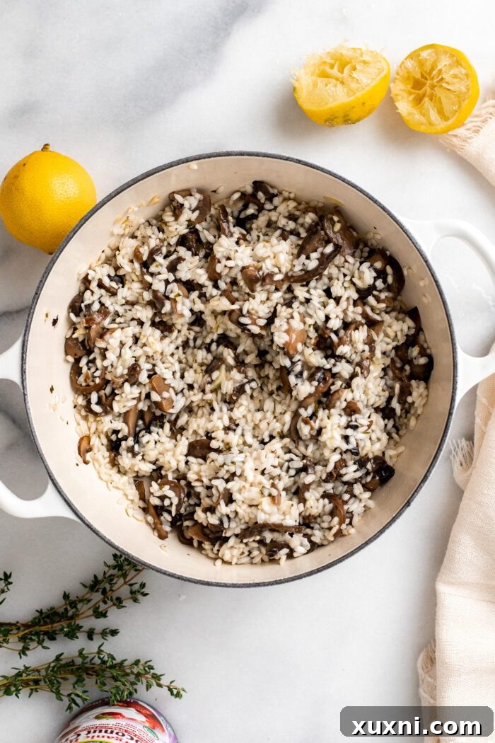 Close-up of toasted Arborio rice in a pan before liquid is added.
