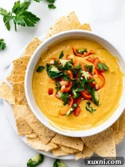 bowl of vegan Queso with toppings, garnished with fresh herbs and chiles