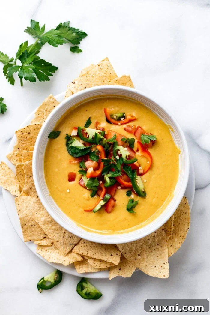 vegan queso topped with tomatoes, chiles, and cilantro, ready to serve