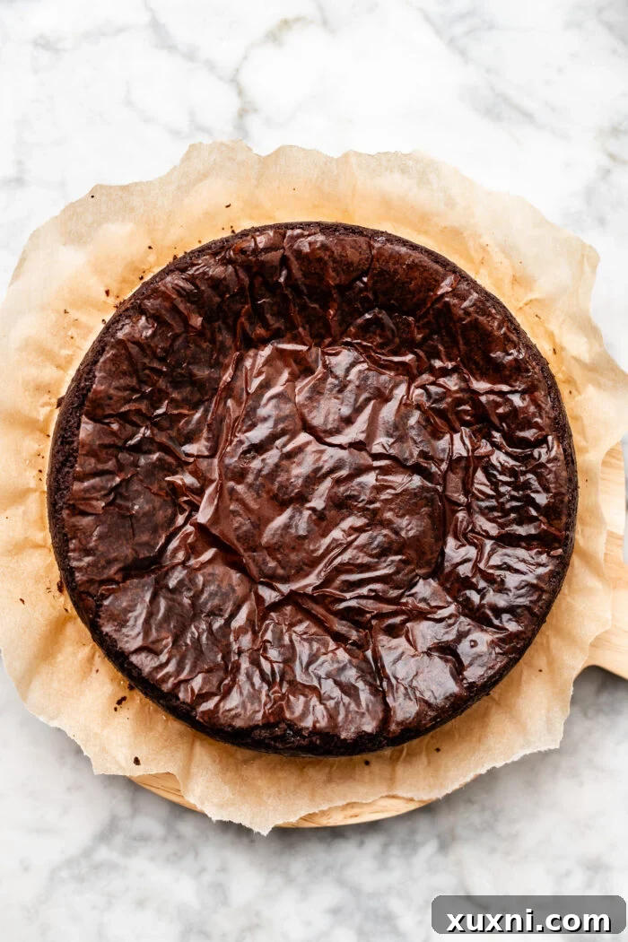 A baked vegan flourless chocolate cake with a distinct crinkly, shiny top, just out of the oven.