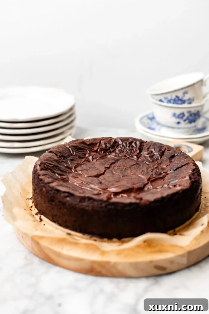The fully baked vegan flourless chocolate cake dusted lightly with cocoa powder.