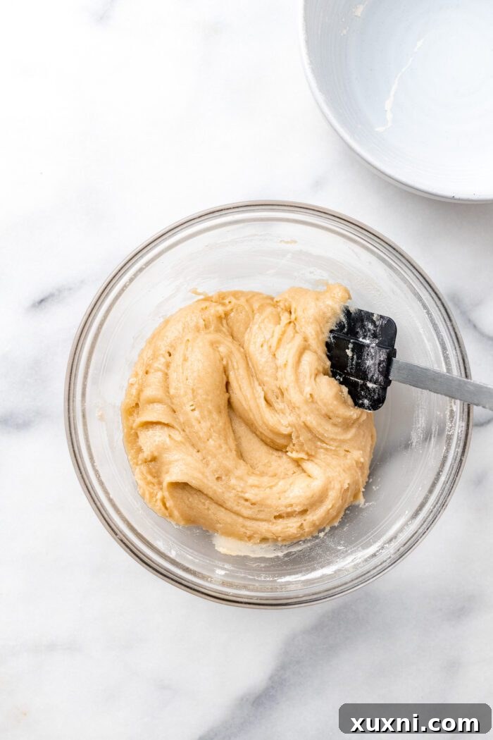 Vegan sugar cookie dough in a bowl after dry ingredients have been folded in, showing a thick, cohesive texture.