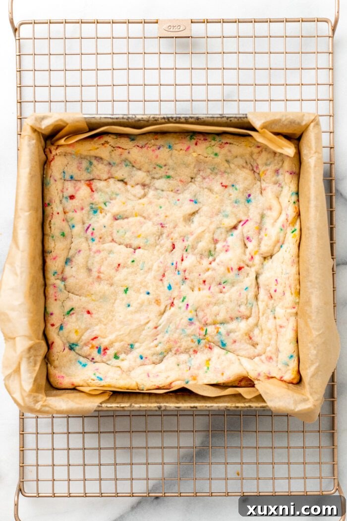 Baked vegan sugar cookie bars in the pan, displaying golden edges and a soft center, cooling on a rack.