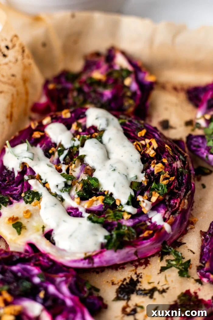 roasted red cabbage with yogurt dill sauce drizzled on top, garnished with fresh dill