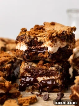 Stacked vegan s'mores cookie bars