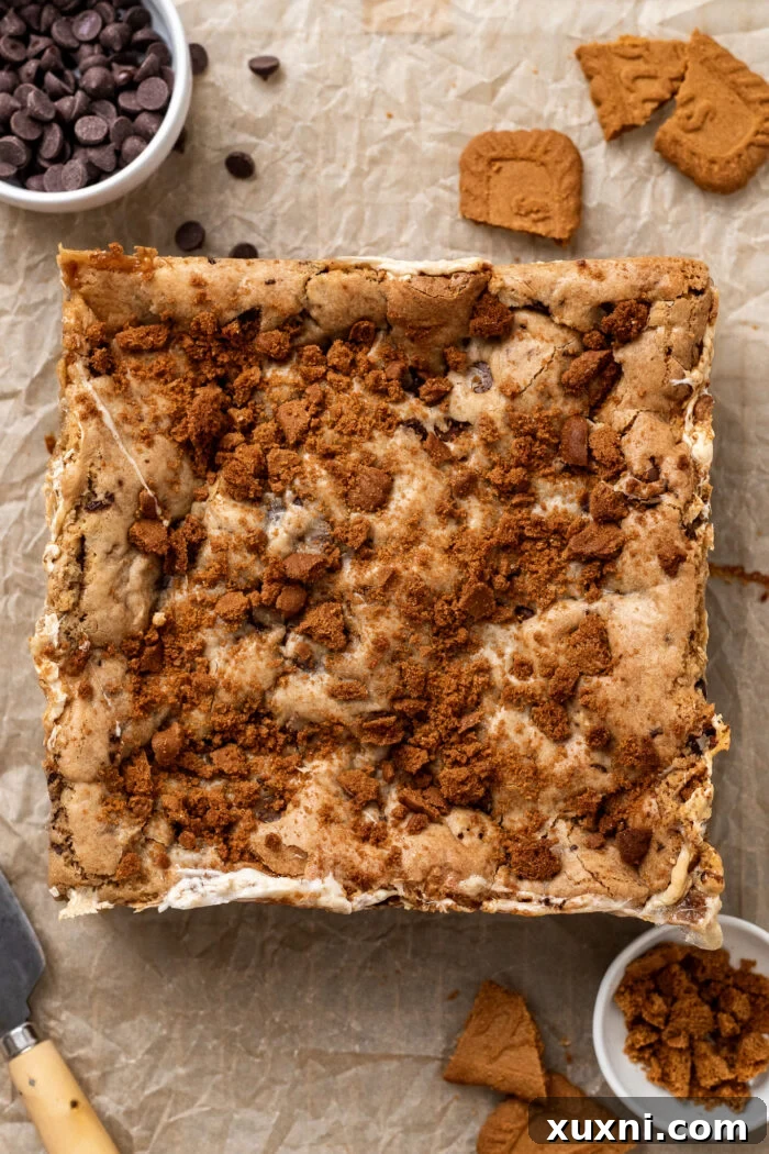 Freshly baked vegan s'mores cookie bars in the pan, golden brown on top