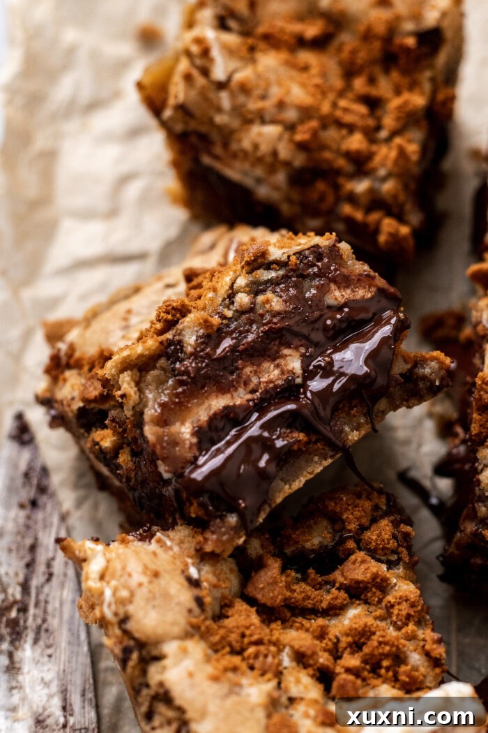 A sliced vegan s'mores cookie bar, showcasing the melted chocolate and marshmallow