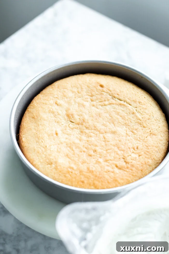 A perfectly baked, golden-brown vegan vanilla cake layer, fresh from the oven.