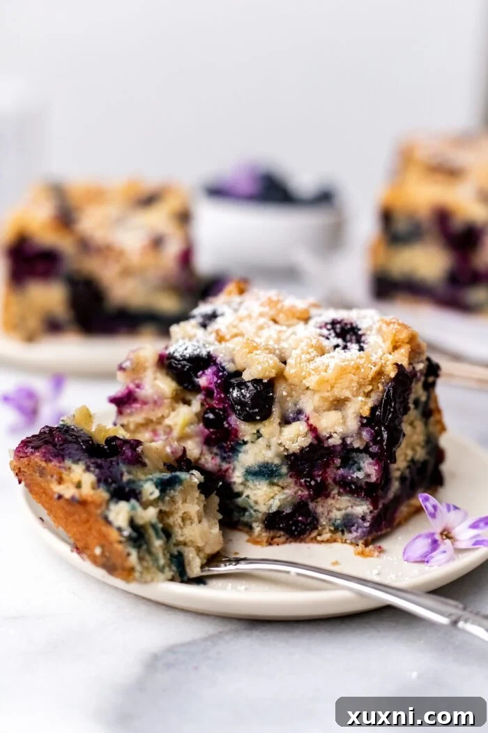 Plate of fluffy and soft vegan blueberry buckle bursting with fresh blueberries and a delicious crumble topping