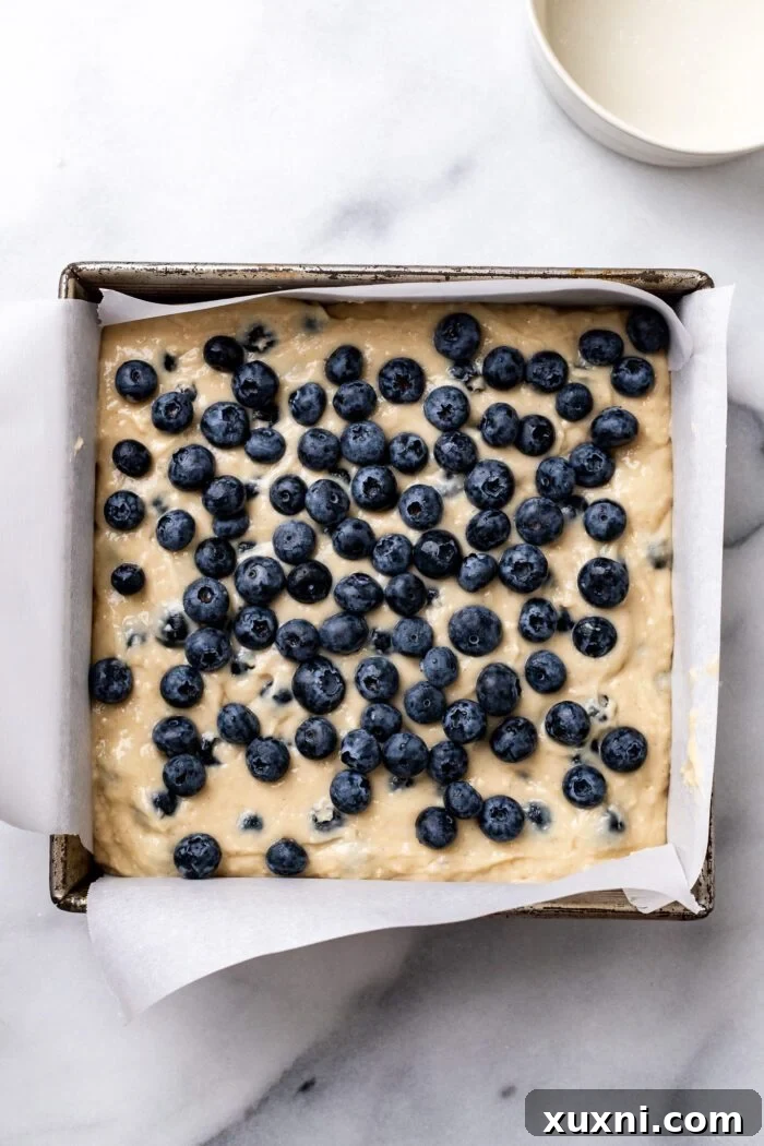Remaining fresh blueberries sprinkled on top of the batter in the pan