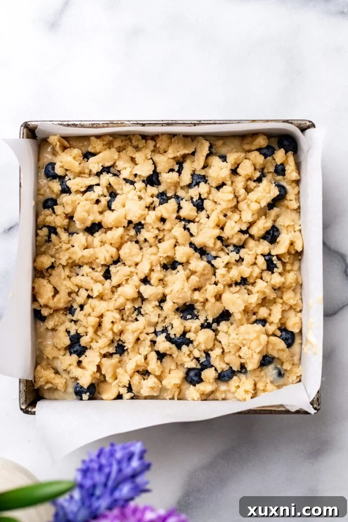 Blueberry buckle topped with crumble, ready for baking