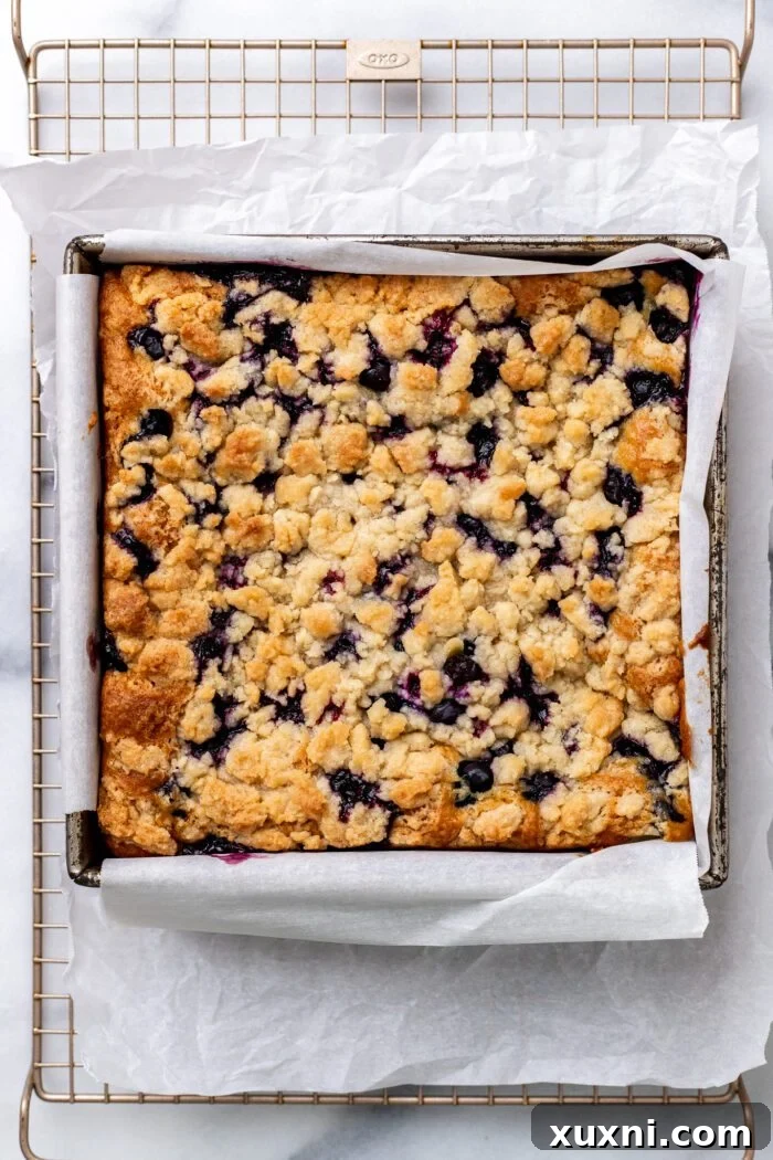 Freshly baked blueberry buckle cooling in the pan