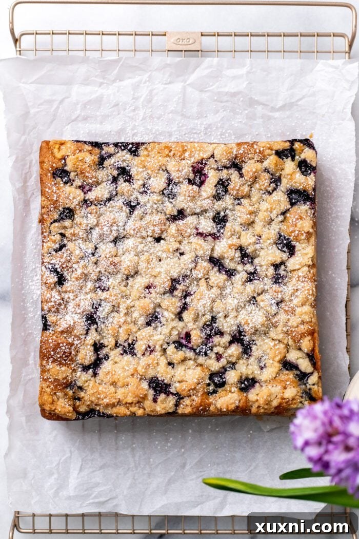 Blueberry buckle cake dusted with powdered sugar, ready to serve