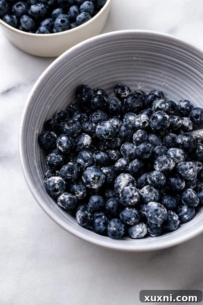 Fresh blueberries tossed with flour in a bowl