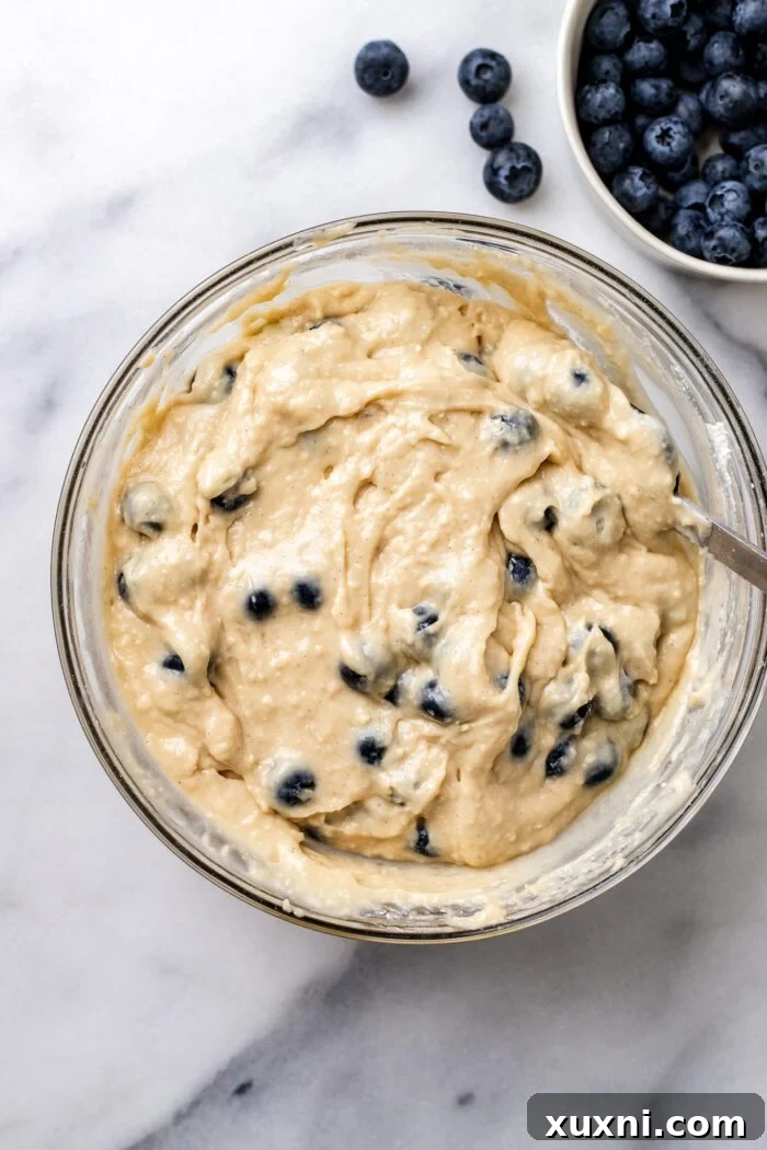 Blueberries gently folded into blueberry buckle batter with a spatula