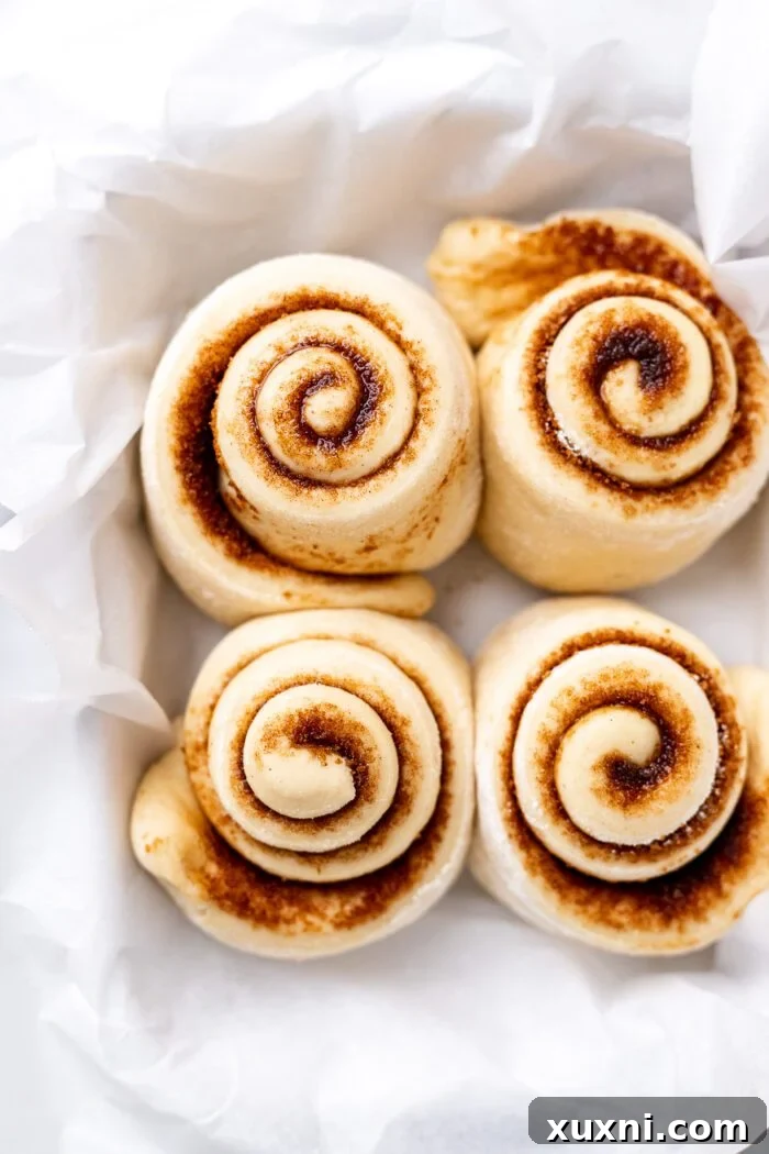 Four raw vegan cinnamon rolls, noticeably risen and puffy, placed in a small baking dish, ready for the oven