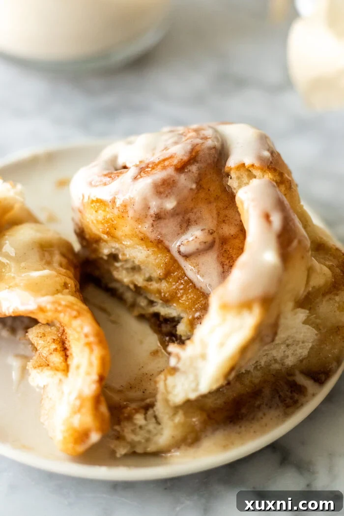 An unrolled vegan cinnamon roll on a plate, showing the distinct layers of dough and cinnamon filling